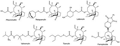 Cprp—An Unusual, Repetitive Protein Which Impacts Pleuromutilin Biosynthesis in the Basidiomycete Clitopilus passeckerianus